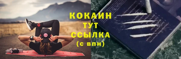 прущие грибы Приозерск