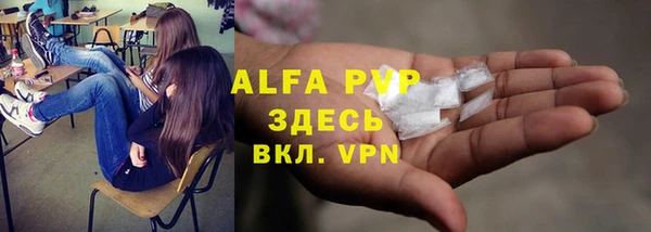 a pvp Алзамай