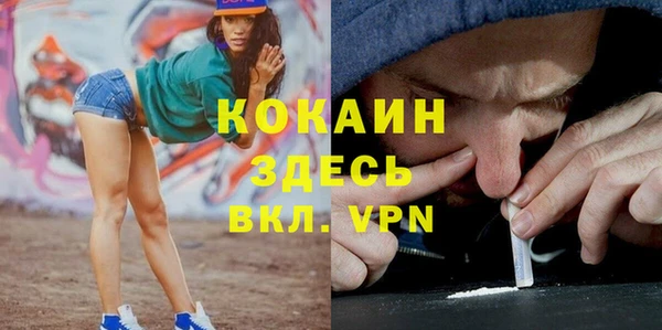 тгк Алексин