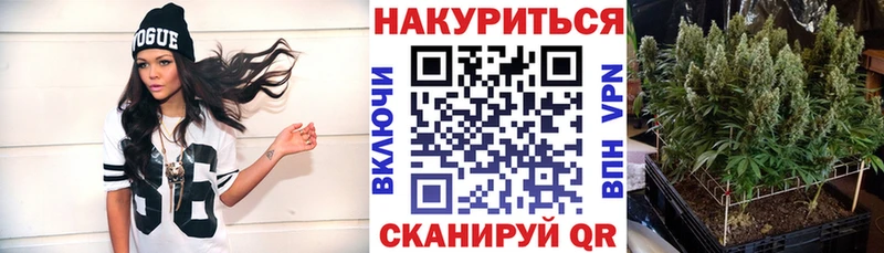 Каннабис гибрид магазин продажи наркотиков нарко площадка какой сайт Мичуринск